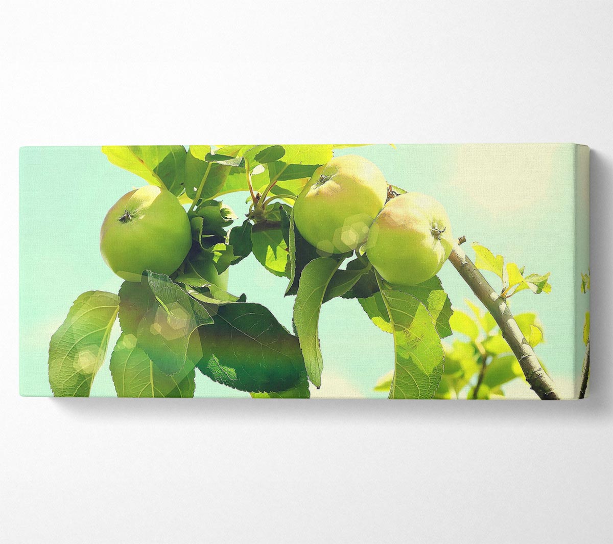 Tavla- Canvas- Äppel träd- Apple Tree
